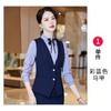 Chaleco de Ropa de Negocios para Mujer Conjunto de Tres Piezas Moda Elegante Camisa Conjunto de Dos Piezas Vestido de Negocios Chaleco Joyería Ropa de Trabajo