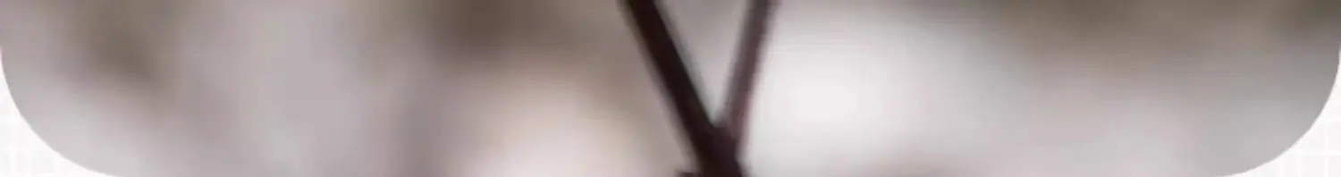详情图06.jpg