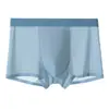 Pantalones de Aire Acondicionado de Seda de Hielo Sin Costuras Ropa Interior para Hombre Malla Transpirable 7A Antibacteriano Verano Fresco Cómodo Calzoncillos para Hombre