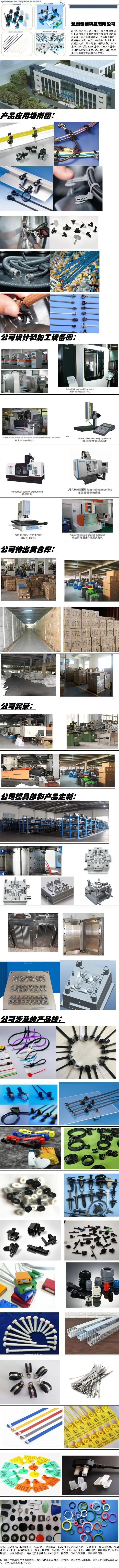 雷燕主图2023