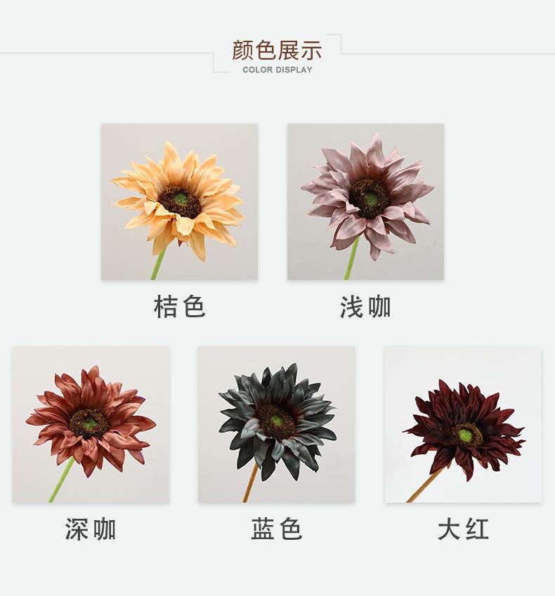小单枝向日葵详情-兰桂坊（1）_07