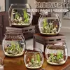 Aquário de Peixe de Plástico Transparente para Mesa de Escritório Sala de Estar Aquário de Micro Paisagem Aquário de Tartaruga Mini Aquário Ecológico