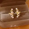 Pendientes de clip de estrella con incrustaciones de circonita para mujer sin perforaciones, pendientes de nicho únicos y elegantes, sensación de lujo ligero y alta gama, venta al por mayor