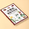 Identificação e Aplicação de Medicamentos Fitoterápicos Chineses. Conhecimento Fitoterápico Que Pode Ser Usado Para Proteger a Saúde de Toda a Família