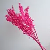 Folhas ricas branqueadas flor eterna flor seca buquê de flores diy material casamento fotografia floral adereços fábrica atacado