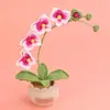 Orquídea Mariposa de Ganchillo Terminada Transfronteriza en Maceta, Adornos Florales de Escritorio Tejidos a Mano con Hilo, Ramos de Flores Tejidos al por Mayor