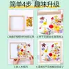 Marco de Fotos Transparente de Doble Cara DIY Hecho a Mano con Relieve de Hoja Exhibición de Especímenes de Plantas Flores Secas Marco de Fotos de Mesa Fábrica Venta al por Mayor