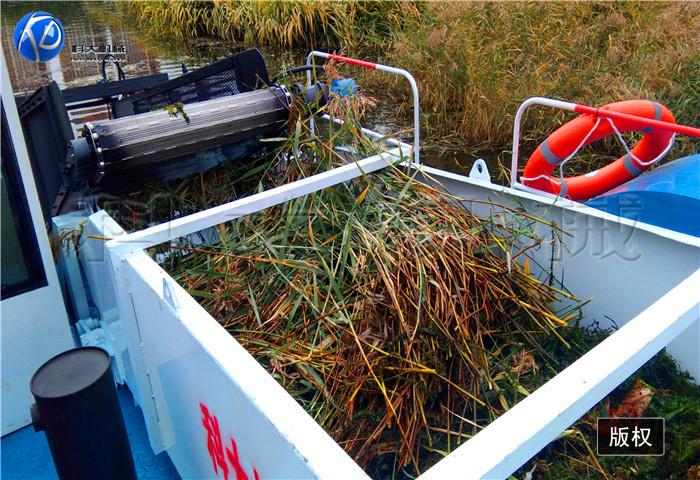 34辽宁沈阳割草船 (2).jpg