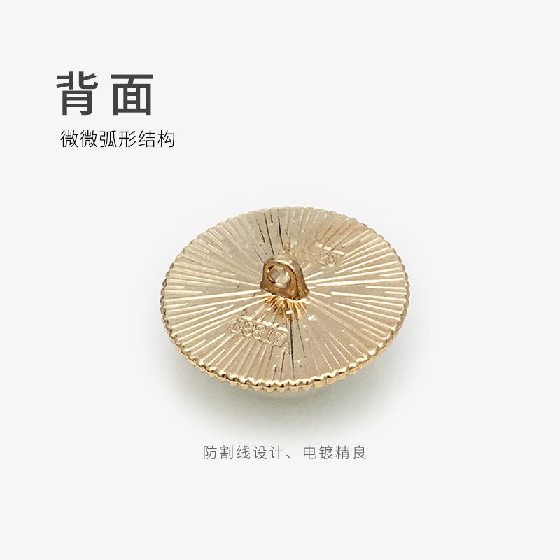 背面、颜色