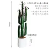 Cacto Artificial Pequeno para Paisagismo, Decoração de Paisagem Interna de Canto de Parede, Ornamento de Planta Verde Biomimético Tropical Falso