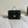 Bolsa Feminina Ombro Único 2026 Transversal Verão Nova Estilo Balde Corrente Pequena Versão Coreana Para Trabalho Ins Padrão Acolchoado