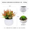 Mini piedra de diamante de Amazon, simulación de plástico, combinación carnosa, adornos de escritorio, simulación de planta verde, planta carnosa pequeña en maceta.
