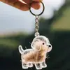 Colgante Creativo de Dibujos Animados para Guardar Pelo de Mascota Perro Golden Retriever Llavero de Almacenamiento Encanto para Bolso Cápsula Colección Conmemorativa