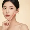 Cangzhou Conjunto de Pincéis de Maquiagem Conjunto Completo de Pincel para Blush de Pelo Animal, Pincel para Sombra de Olhos, Pincel para Sombrear o Nariz, Conjunto Detalhado de Pincéis de Maquiagem com Cabo de Madeira