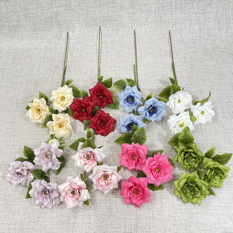 主图 花溪谷.JPG