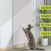 Adesivo de parede autoadesivo para arranhador de gato, adesivo de parede para tapete de escalada de gato, pode ser cortado no tamanho, proteção para sofá e parede, anti-arranhão de gato, multifuncional e resistente ao desgaste