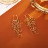 Brincos Europeus e Americanos Encaixáveis, Moda de Alto Padrão, Brincos Longos Elegantes com Franjas, Brincos Atmosféricos Estilo Deusa Cool