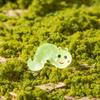 Dibujos animados lindos luminosos Oruga resina pequeños adornos Musgo micro paisaje jardinería bonsái decoración de paisaje accesorios