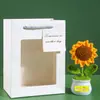 Regalo del Día del Maestro para Maestros Planta de Girasol en Maceta Tejido para Maestros y Amigos Decoración del Hogar Terminado Temporada de Graduación