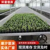 Invernadero hidropónico de marea para plántulas cama de plántulas de riego por marea panel ABS cama de plántulas de verduras y flores personalizable