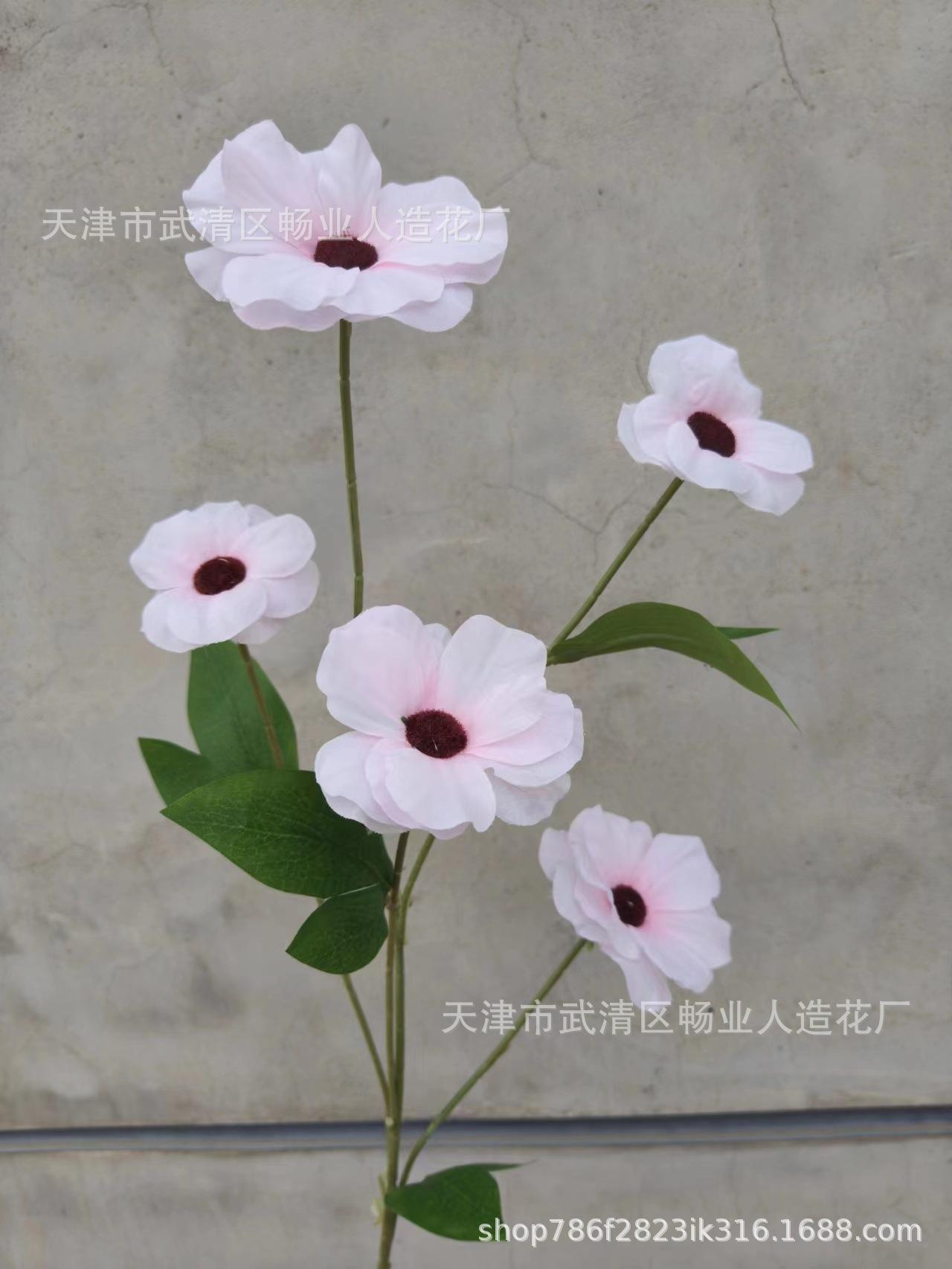 010ba4bcc9be9c97befdc36ea327f9