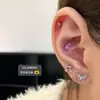 Primer Amor de Sakura Carta de Amor Mariposa de Primavera Hueso del Oído Pequeño y Fresco Aretes de Hueso del Oído Aretes de Acero de Titanio Pequeños y Exquisitos Aretes de Hueso del Oído