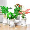 Plantas Adequadas para Pessoas Preguiçosas Cultivarem Plantas Verdes em Mesas de Escritório Pequenas Plantas em Vaso Árvores da Fortuna Gardênia Hidroponia para Presentear Pessoas Plantas em Vaso