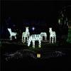 Luces de Estilo para Exteriores LED Caballo Colorido Animal Punto Escénico 2020 Proyecto de Iluminación de Parque Luces de Estilo Pegamento Navideño