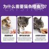 Alimentador de Tiras para Gato Mascota Cuchara para Puré de Carne Exprimidor Especial Tira Nutricional Snack Líquido Tira para Alimentación de Gatos Alimentador Especial de Cuchara