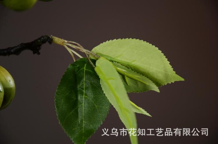 3-10绿色欧罗梨子..JPG
