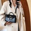 Bolsa Francesa Pequeña de Crowdsourcing para Mujer 2024 Nuevo Bolso Kelly Estampado de Piedra Vintage Bolso de Mano Vintage Bolso Cruzado de Moda