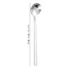 Cuchara Redonda Pequeña de Acero Inoxidable 304 Transfronteriza Cuchara para Condimentos Casera Cuchara para Postre Cuchara para Miel Café Cuchara Pequeña Mezcladora Condimento
