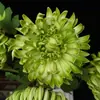 Crisântemo Rico Novo Crisântemo Crisântemo Artificial de Alta Qualidade para Casa, Hotel, Decoração de Casamento, Arranjo Floral e Exibição Realista de Flores