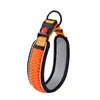 Collares para Mascotas Transfronterizos, Collares para el Cuello, Correas para Perros, Cadenas para Perros, Anillos para el Cuello, Collares para Mascotas, Suministros para Mascotas, Al Por Mayor en Stock