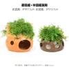 Aquário Musgo Terrário Planta Aquática Paisagismo Planta Real Tanque de Esconderijo para Peixes e Camarões Casa de Camarão Pequeno Ornamento Casa de Esconderijo para Criação de Peixes Pequenos