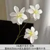 3 Flores de Magnólia Artificiais para Decoração de Corredor de Casamento, Banquete de Noivado e Arranjo de Quarto de Casamento
