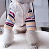 2025 Nuevo Dropshipping Transfronterizo Chaleco Cálido para Cachorro Camiseta Interior Conjunto de Dos Piezas Ropa de Otoño e Invierno