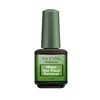 En stock 15M Marrón l esmalte de uñas esmalte de uñas botella de vidrio capa base pegamento botella de vidrio botella de pegamento