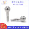 Fábrica de Tornillería Tengfei Suministro Directo Tornillo de Cabeza Esférica de Forma Especial Perno de Rosca Parcial Tornillo de Forma Especial No Estándar Tornillo