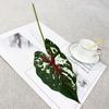Simulación de Producto Nuevo Transfronterizo Planta Verde Hoja Única de Alocasia Hoja de Begonia Color Hoja de Taro Planta Decorativa Pared Sala de Estar Decorativa Hoja Verde