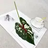 Planta Verde de Novo Produto Transfronteiriço Folha de Calla Folha de Begônia Folha de Taro Colorida Planta Guia de Corredor de Casamento Parede de Plantas Design Floral DIY