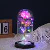 Creativa Nueva Cubierta Acrílica Transparente Flor Eterna a Prueba de Polvo Flor con Lámina de Oro Luz Nocturna Regalo Adornos de Rosa Coloridos