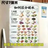¿Cómo distinguir las pegatinas decorativas magnéticas de fibra de carbono de alta calidad que aumentan la saciedad de las pegatinas magnéticas acrílicas planas para refrigerador?