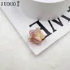 Nuevo Ácido Acético tamaño pequeño Pinza de Agarre Pinza Rota Flequillo Leopardo Pinza de Tiburón Corea del Sur Accesorios para el Cabello Pinza para el Cabello Venta al por Mayor