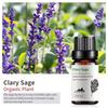 Exportación Transfronteriza Aceite Esencial Individual Fragancia Aromaterapia Masaje Aceite Esencial Sándalo Difusor Mayoreo Muestra de 10 ml