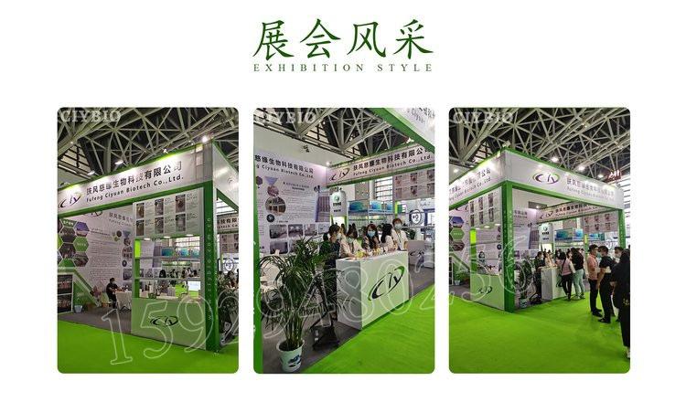 9.展会风采