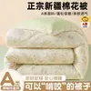 Colcha de invierno de algodón de Xinjiang, adecuada para todas las estaciones, colcha de primavera y otoño para dormitorio de estudiantes, suave, gruesa, cálido núcleo de algodón, colcha de aire acondicionado