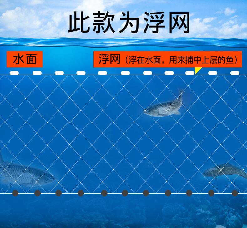 粘网_20.jpg