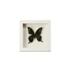 Marco de Fotos con Espécimen de Mariposa, Marco de Fotos Hueco, Decoración de Mesa, Exhibidor de Espécimen de Insectos, Fabricante de Origen