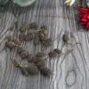 Arranjo de Flores Secas com Salicornia Pinha Jardim de Infância Materiais Artesanais Decoração de Casa Retrô Enfeites Adereços de Fotografia Atacado